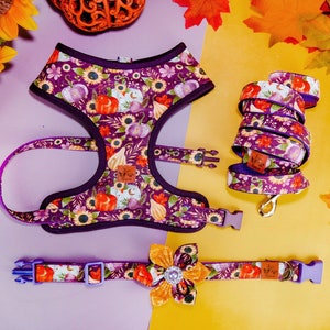 Fall sunflower dog harness leash set/ autumn harvest harness and lead/ girl pumpkin dog harness vest/ thanksgiving floral dog harness