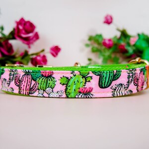 Succulent cactus dog collar/ girl boho flower dog collar/ floral pink green dog collar/ large puppy small dog collar/ designer fabric collar
