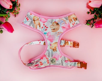 Puede incluir: Arnés rosa para perro con un patrón floral con perezosos y mariposas. El arnés tiene correas ajustables y una hebilla de metal.