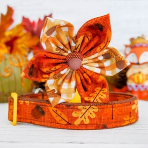 Thanksgiving dog collar flower/ acorn girl dog collar/ fall autumn dog collar/ harvest holiday collar/ large small dog collar/ puppy collar
