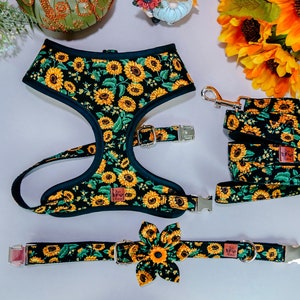 harvest sunflower dog harness leash set/ boy girl dog harness vest/ fall floral harness and lead/ autumn flower harness/ thanksgiving dog