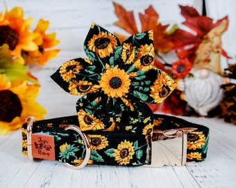 Sunflower harvest dog collar flower/ floral autumn dog collar/ Thanksgiving fall dog collar/ small large puppy dog collar