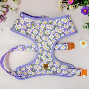 Purple daisy flower dog harness/ girl floral dog harness/ small puppy harness/ designer spring dog harness/ medium female dog harness