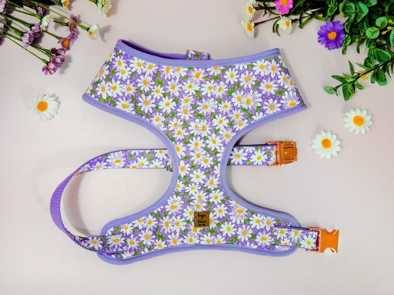 Purple Daisy Flower Dog Harness Girl Floral Dog Harness Small Puppy Harness Designer Spring Dog Harness Medium Female Dog Harness Etsy UK
