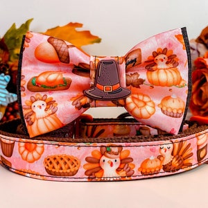 Thanksgiving turkey dog collar bow tie/ gnome harvest dog collar/ fall autumn dog collar/ boy dog collar/ small large collar/ pumpkin collar
