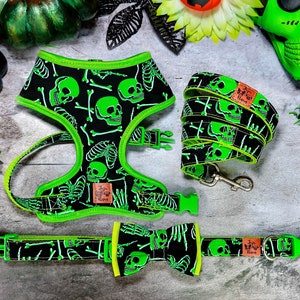 Halloween skulls skeleton dog harness leash set/ spooky glow in the dark harness and lead/ girl boy dog harness vest/ day of the dead dog