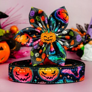 Halloween jack o lantern dog collar flower/ girl pumpkin dog collar/ spooky cute collar/ bat large small dog collar/ rainbow puppy collar