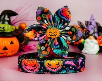 Halloween jack o lantern dog collar flower/ girl pumpkin dog collar/ spooky cute collar/ bat large small dog collar/ rainbow puppy collar