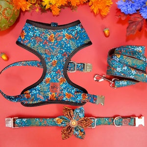 Fall floral dog harness leash set/ Autumn leaves dog harness vest/ boy girl harness and lead/ small medium dog harness/ harvest harness