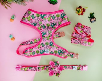 Zestaw szelek i smyczy dla psa Girl Cactus/różowy, kamizelka z szelkami dla psa Succulent/boho, urocze szelki i smycz dla psa w kwiaty/niestandardowe szelki dla szczeniaka w rozmiarze małym i średnim