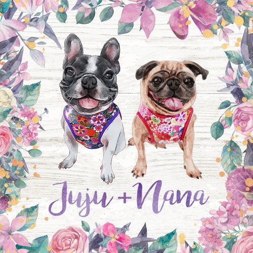 夏のキラキラ蝶の犬用首輪 花/ターコイズフローラルガール犬用首輪