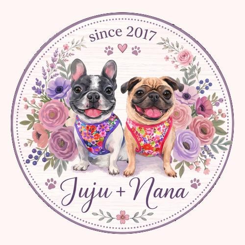 柴犬用首輪 花柄、ピンクの女の子用首輪、デザイナーズキツネ柄首輪