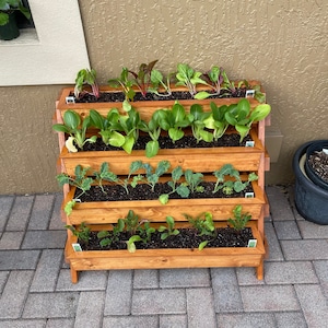 4 Tier planter stand  (Large)