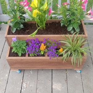 Ultimate Dect Planter