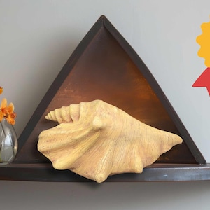 Biodegradable Conch Shell Urn. Water burial urn. Sea lover or Beach lover urn