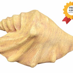 Conch Shell Biodegradable Urn - Sea shell urn Ideal for Land or Water for beach lovers or surfers