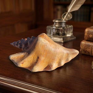 May include: A large, textured seashell with a tan and blue color scheme rests on a dark wooden surface. The shell is the focal point, with a vintage inkwell, books, and a compass in the background, suggesting a nautical or historical theme.