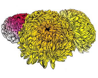 Chrysanthemums Linocut, Original Linoprint, Hand Printed, Gift, art, flower, bunch of flowers, colourful, A4