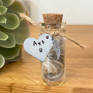 Custom Pet Fur Memorial Jar,Dog Memorial Jar, Loss of Pet Gifts,Rainbow Bridge Gift,Urn Memorial Gift,Custom Pet Memorial Gifts for Dog Mom