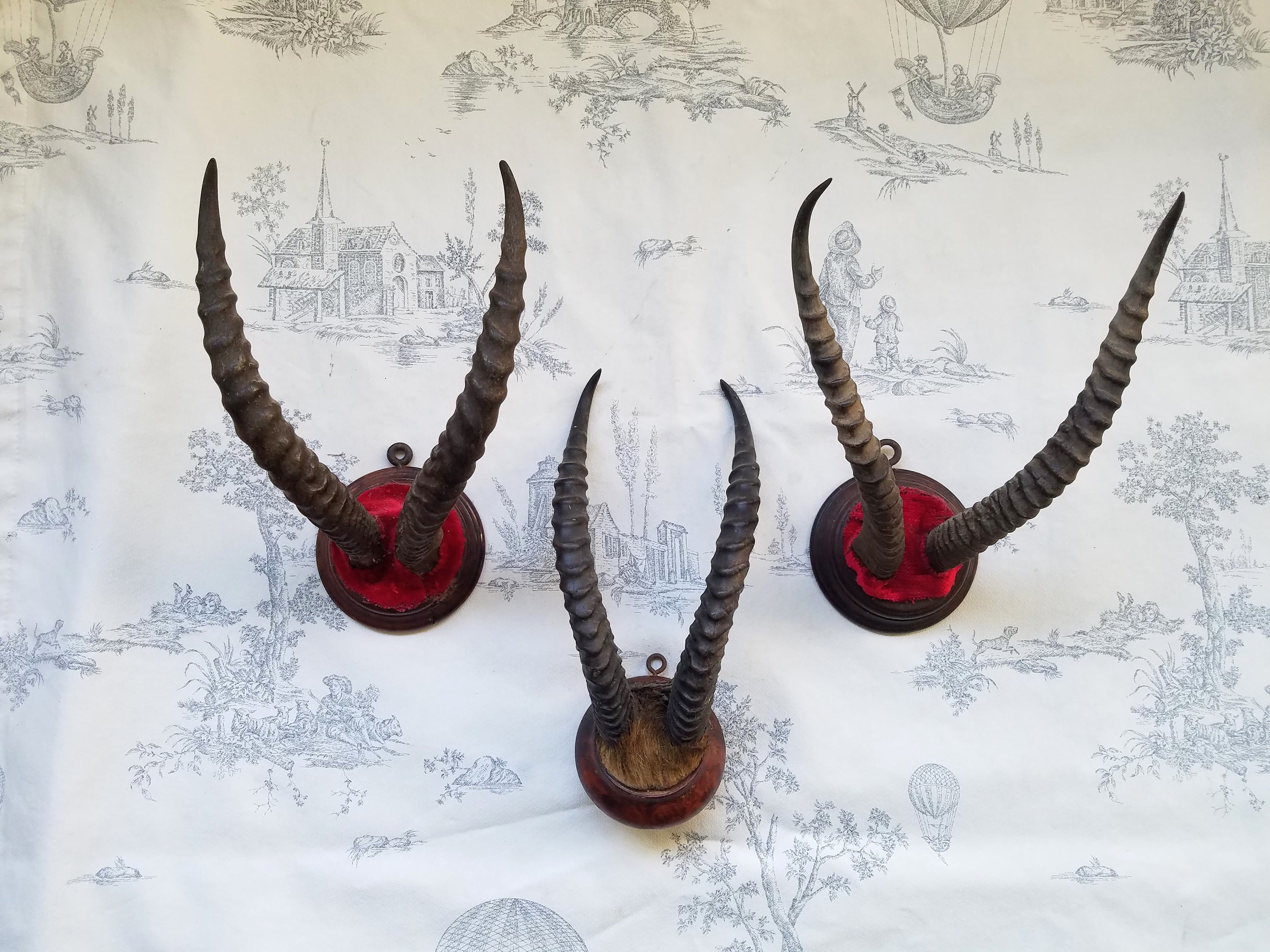 1 Français Antiques