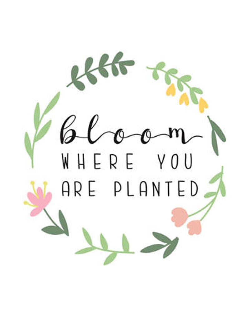 Bloom Where You Are Planted Gardening Printable Art - Etsy