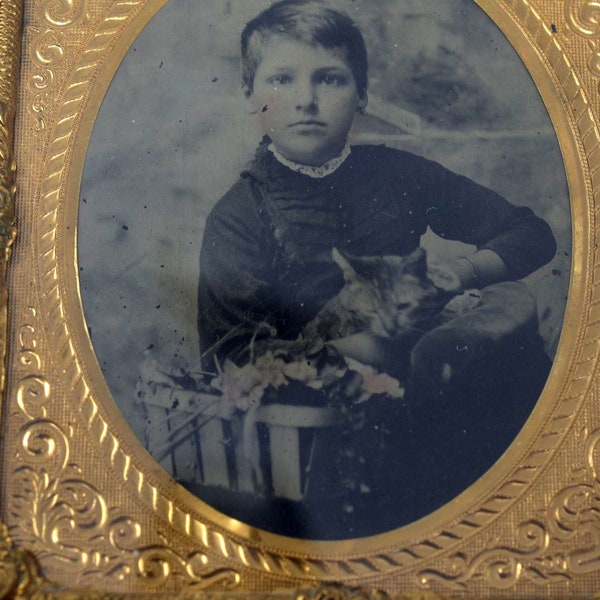 Sale! Antique Photo Tintype Half Case Girl With Cat Hand Colored Cheeks and Flowers Wonderful!