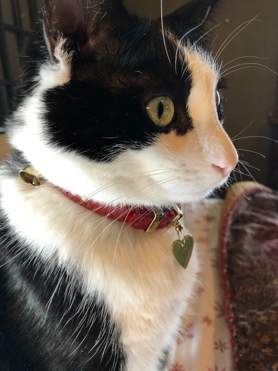 mcm cat collar