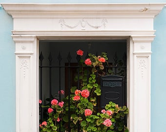 London House Flower Photos, London Flower Wall Art, London Home Photography, Romantic London Photography, London Style Photo Prints