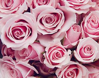Pink Flower Poster, Roses Photography, Pink Roses Print, Pink Flower Wall Art, Bunch Roses Photo, Colorful Flower Print, Pink Home Wall Art
