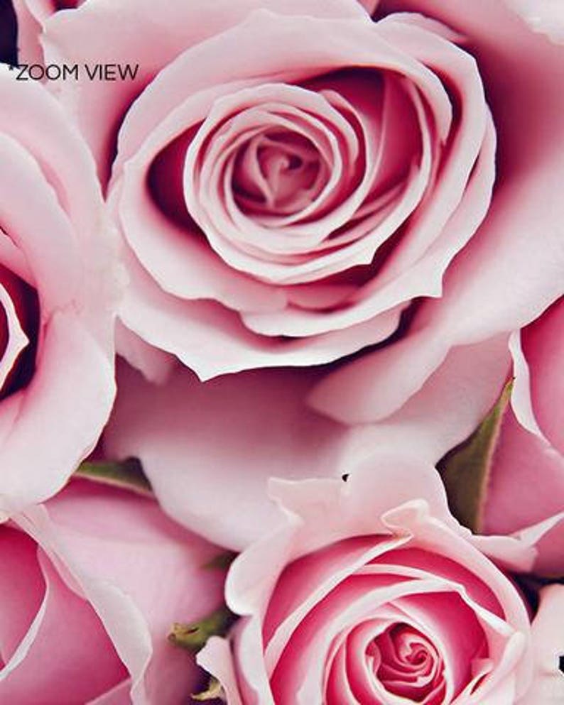 Pink Flower Poster, Roses Photography, Pink Roses Print, Pink Flower Wall Art, Bunch Roses Photo, Colorful Flower Print, Pink Home Wall Art image 2