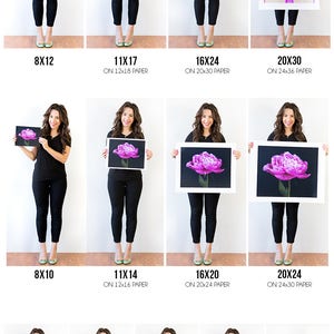 May include: A size guide for prints, showing different sizes of prints held by a person. The sizes are 8x10, 8x12, 11x14, 11x17, 16x20, 16x24, 20x24, 20x30, 8x8, 11.5x11.5, 16x16, 20x20, and 26x26. The guide also includes the paper size for each print.
