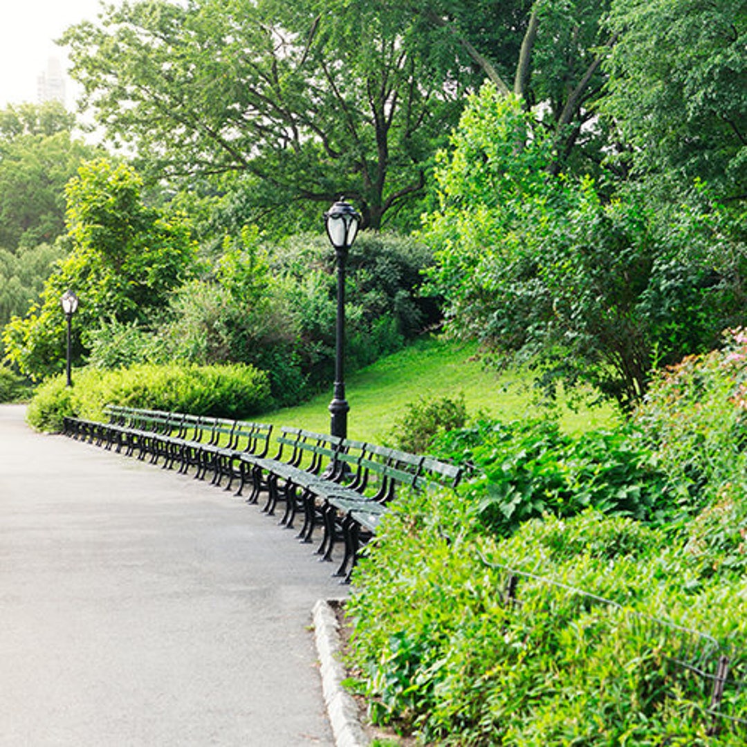 New York Wall Art New York Park Print Colorful New York Art Etsy