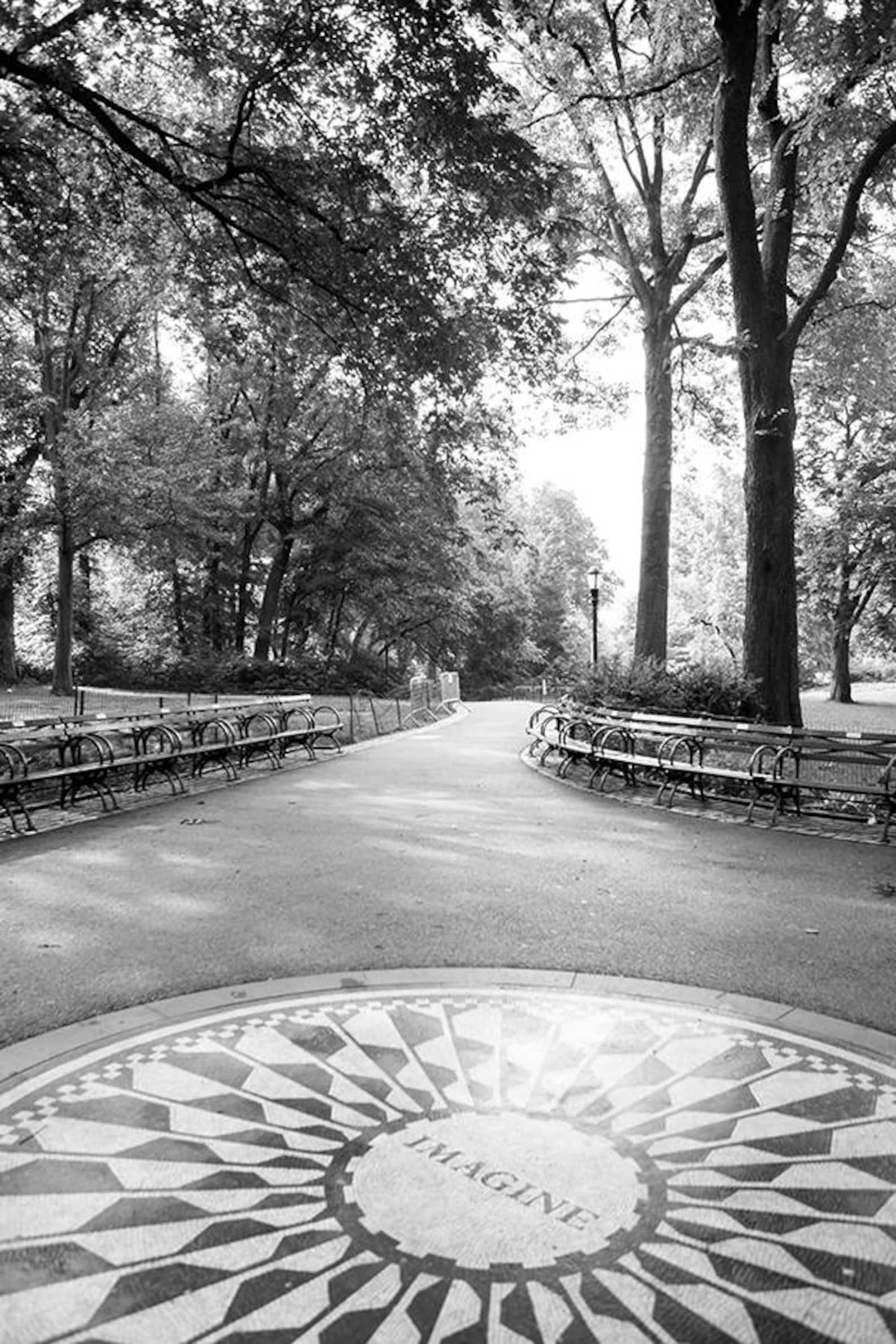 Central Park Wall Art Central Park Photo Print NYC Central Etsy