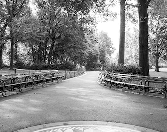 Central Park Wall Art, Central Park Photo Print, NYC Central Park Photography, Black White New York, New York Skyline Print