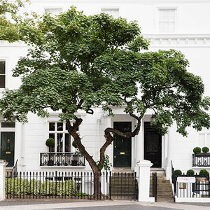 London House Wall Art, Romantic London Photography, Luxury London House Photos, London Home Photography, London Style Photo Prints