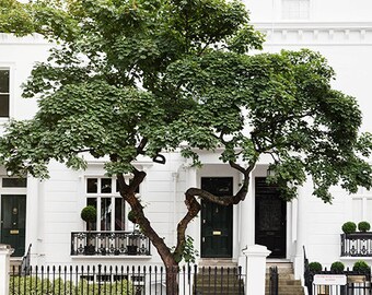 May include: A white two-story house with black doors and windows. A large green tree is in front of the house, partially obscuring the doors. The house has a black wrought iron fence in front of it.