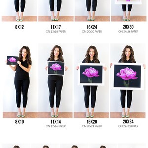 May include: Size guide showing various print sizes, including 8x12, 11x17, 16x24, and 20x30 inches, with images of a door, a flower, and buildings. The text "Size Guide" is at the top. The website address is www.annawithloveshop.com.
