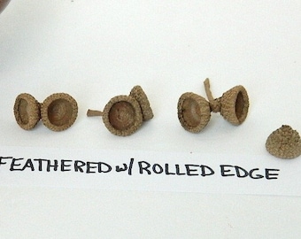 Real Acorn Tops, Natural Craft Supply, Feathered Deep Cup with Rolled Edge, Light Feathery Surface, Peg People Caps, Fairy House
