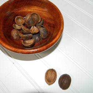 May include: A wooden bowl filled with brown, dried, cracked shells. Two additional shells are on the white surface next to the bowl.