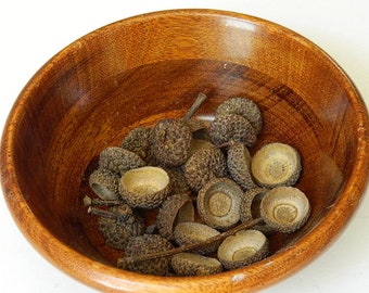 Textured Acorn Caps, Natural Crafting Supplies, Shallow Base Acorn Tops, Kids Arts and Crafts, Peg People Caps, Marble Jewelry, Rustic Decor