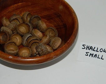 Shallow Small Acorn Caps, Natural Plant Product, Rustic Home Decor, Potpourri Ingredient, Ornament Craft, Kids Preschool Art, Peg People Top
