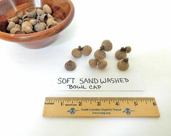 Peaked Sand Washed Acorn Caps, Light Color Caps, Soft Finish, Natural Crafting Supply