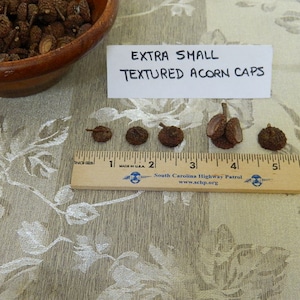 Extra Small Textured Acorn Tops, Little Bird Caps, Raw Materials for Crafts, Kids Art Projects, Fairy House Decor, Natural Jewelry Supplies