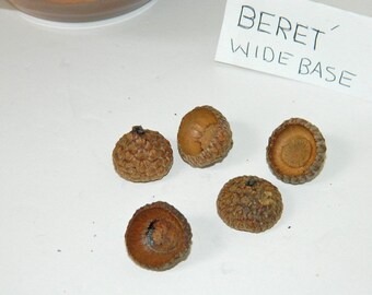 Beret Wide Base Short Shallow Acorn Caps, Natural Craft Supplies, Textured Wavy Edge Acorn Caps, Arts and Crafts, Rustic Decor