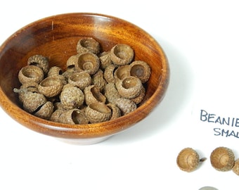 Small Acorn Tops, Beanie Style Caps, Natural Craft Product, Arts and Craft Supply, Peg People Caps, Rustic Decor, Fairy House Decor, Jewelry