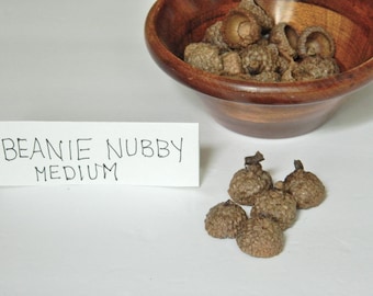 Pebbly Textured Medium Size Deep Acorn Caps, Arts and Crafts, Natural Product, Nubby Chunky Real Acorn Tops