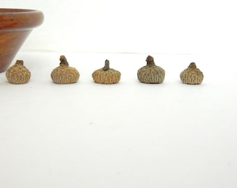 Acorn Tops, Natural Product, Deep Long Sides, Peaked Cap, Fairy House Roof, Ornament Crafts, Kids Art Project, Felted Acorn Supplies, RTS