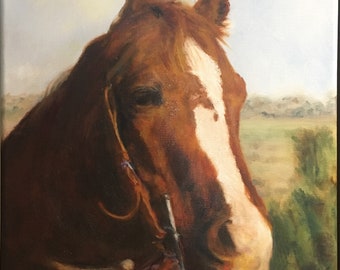 Custom Horse Paintings from your photos, original oil paintings of your pets, oil paintings on canvas made from your photos