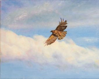 Painting of Red-tailed Hawk Soaring in Sunlit Clouds, An Original Oil Painting from an American Artist Catherine Trezek, paintings of nature