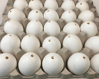 Egg Shell Art Botanical Painting on Egg Shells Chinese Hand Painted Egg Shells Encased in Wood and Glass Atop Silk Fabric